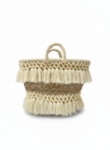 Doum fringe palm