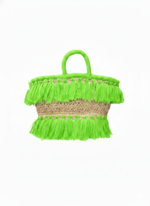 Doum fringe palm - Image 8